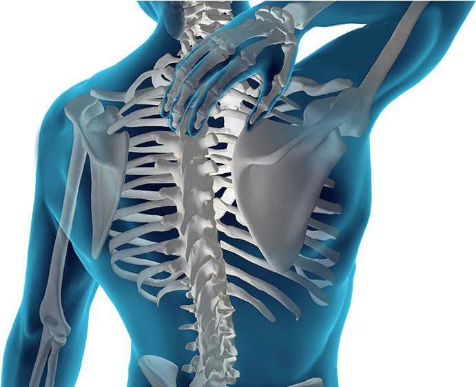 Houston back pain chiropractor performing spinal care